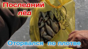 Плотва на последнем льду: Успешная рыбалка на безмотылку 2026