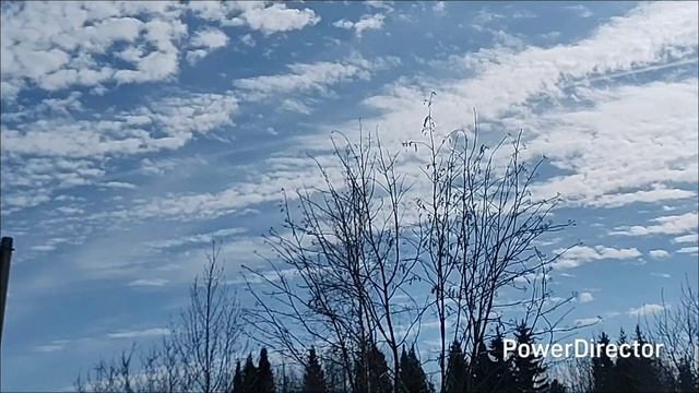 1 апреля, на даче.