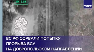 ВС РФ сорвали попытку прорыва ВСУ на добропольском направлении