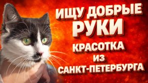 Ищу Добрые руки. Красотка из Санкт-Петербурга.