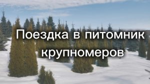 Все силы на прививку!