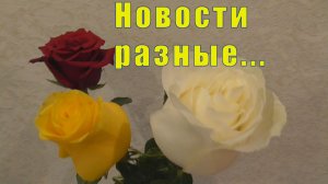 МОИ НОВОСТИ - ПЛОХИЕ И НЕ ОЧЕНЬ /КОНЦЕРТ ПРОДОЛЖАЕТСЯ/  20 /21/ 22 /23 марта 2026