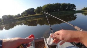 Фидер на реке. Ловим подуста.