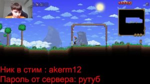 Terraria с подпищиками