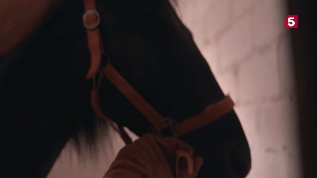 Знание - Сила. Выпуск 302