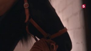 Знание - Сила. Выпуск 302