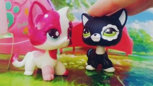 Littlest Pet Shop Old: Аквамарин 1 серия 1 сезон