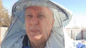 Факторы успешной зимовки пчёл на моей пасеке