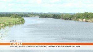 Промышленное рыболовство – новое производство в Мордовии