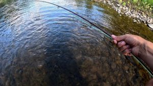 Нахлыстовая рыбалка. Хариус