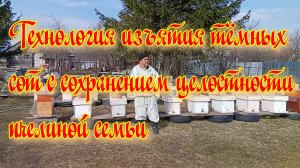 Технология изъятия тёмных сот с сохранением целостности пчелиной семьи