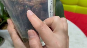 Орхидеи с бородой воздушных Корней спустя полгода! Что стало с воздушными корнями в посадке!?