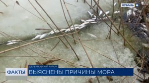 ФАКТЫ. Выпуск от 01.04.2026