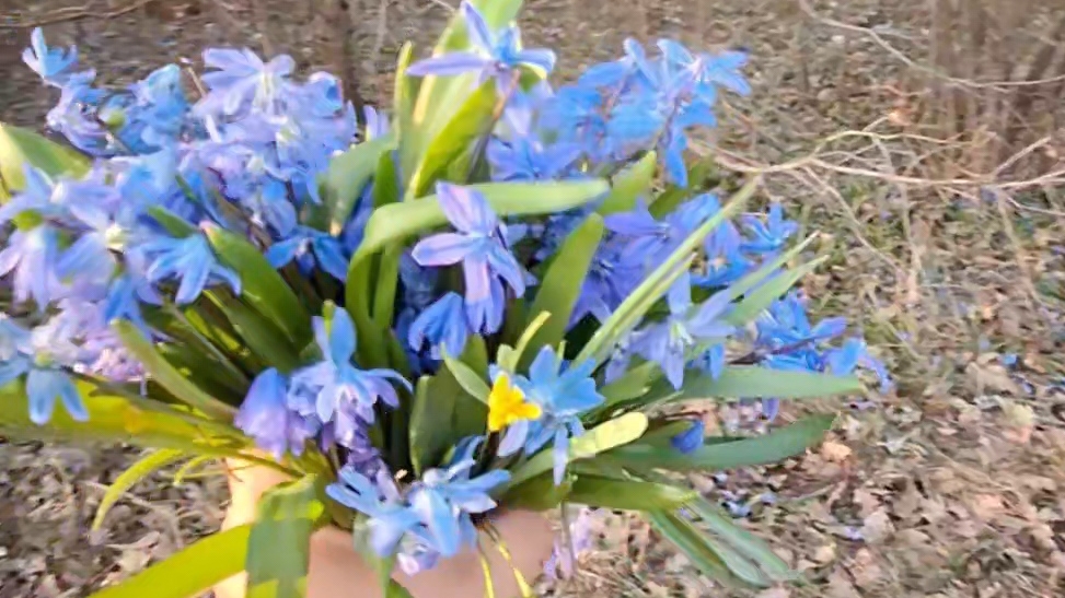 Весеннего настроения 🪻