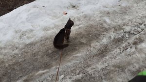 Надо все осмотреть и обнюхать. ХРИСТОС ВОСКРЕС.