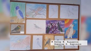 Время местное. Эфир: 01-04-2026 - Международный день птиц