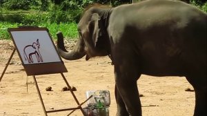 Слон рисует