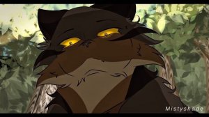 LOSER || Ravenpaw Complete M.A.P (КОТЫ ВОИТЕЛИ МАП ПЕРЕЗАЛИВ)