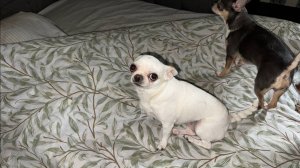 Доброго всем утречка и чудесного начала дня.