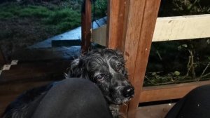 СОЧИ ГОРНОЕ ЛОО УТРО 01.04.2026