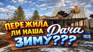 Как там наша дача,после рекордно снежной зимы?