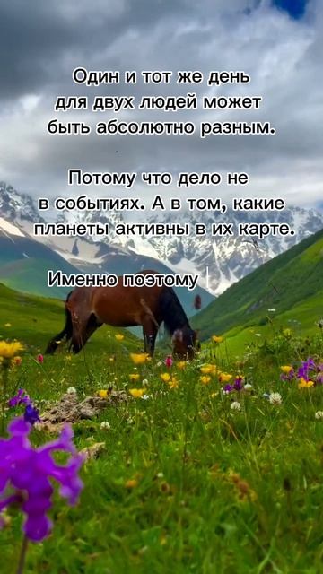 Один и тот же день, для двух человек может быть очень разным #7гроз #веды #нумерология #астрология