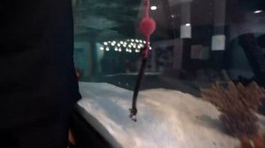 ЛОГАН ПОЛ НАКАЗЫВАЕТ ЭВЕНА ЗА ВЕЧЕРИНКУ!КОНЦЕРТ ARIZONA ZERVAS!