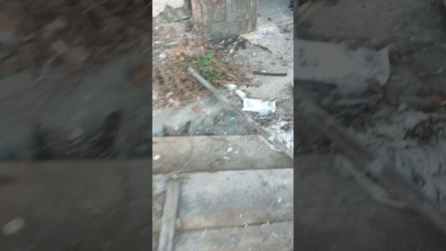 заброшка у бабушки 2