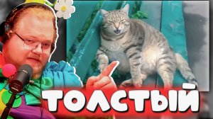 РЕАКЦИЯ T2x2 НА САМЫХ МИЛЫХ ЖИВОТНЫХ! Толстый Кот Стёпа и Бобрёнок Сёма в ШОКЕ 😂