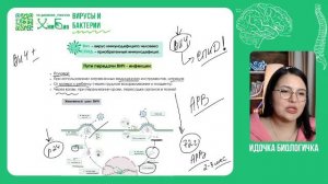 Вирусы и бактерии✨