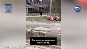 Урок невнимательности: женщина в наручниках сбежала из-под носа полиции через приоткрытое окно