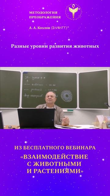 Уровни развития животных 02. Ведёт Александр Козлов - автор Методологии Преображения.