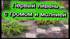 Первый ливень с громом и молнией