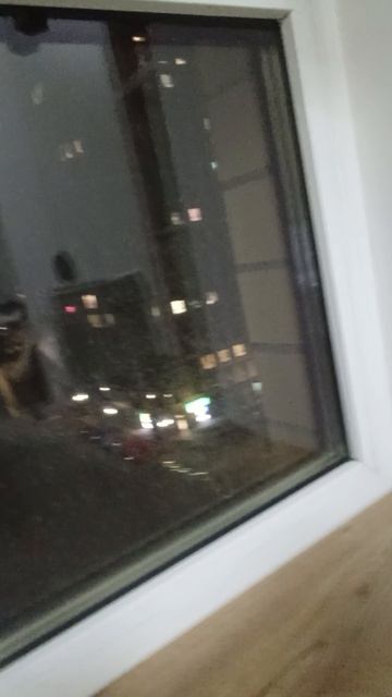 собака напала