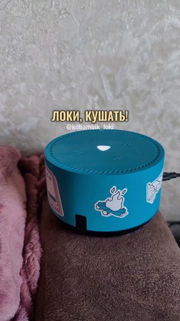 Никому не верю😸