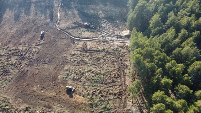 DJI_0033 смотреть онлайн