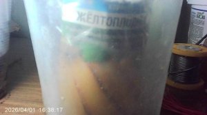 Обзор кабачкового посева рассады сорта «Желтоплодный» (посев от 30 марта)