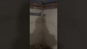 Продаётся тёплый кирпичный дом с подвалом и коммуникациями