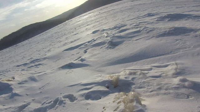 NORM0001 смотреть онлайн