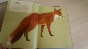 НАШИ ЭНЦИКЛОПЕДИИ часть 1