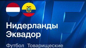 Нидерланды — Эквадор. Обзор матча