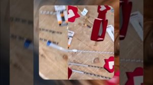 1000054554.mp4 (Собака наблюдает за устройством лестницы на 2-ой этаж в доме А-фрейм)