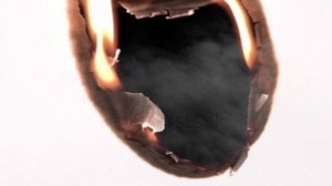 В ЗВЁЗДАХ ОТВЕТ!...