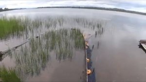 МЕШОК РЫБЫ С ПЕРВОГО ЗАБРОСА НЕВОДА У БАНИ!