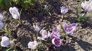 СЕГОДНЯ В САДУ.