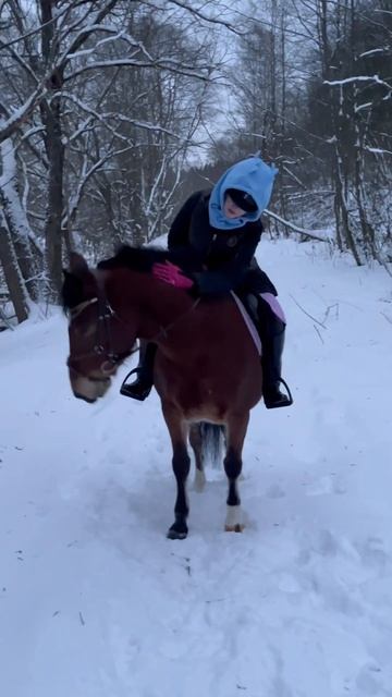 #equestrian #equestrianlife #конныйблог #конныйспорт #horse #конныймир #лошади #конкур #выездка