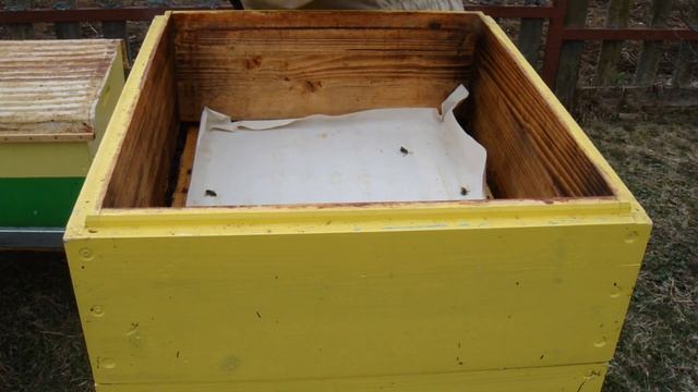 Первое расширение. Ставлю магазин.