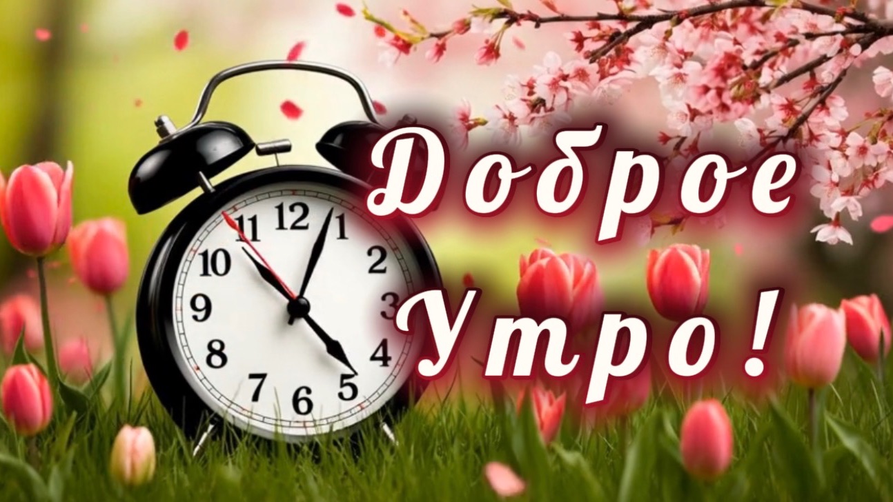 Доброе утро! Песня с добрым утром