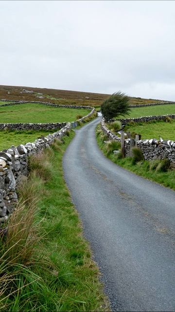 Уединенный путь среди природы пейзаж природа путешествия