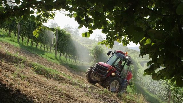 Антонио Карраро